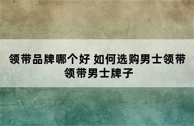 领带品牌哪个好 如何选购男士领带 领带男士牌子